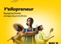 Opportunity for women: MTN Female Entrepreneurs For The Y’ellopreneur initiative!