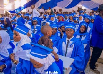 YOBE STATE GOV’T APPROVES AUTOMATIC EMPLOYMENT OF 416 GRADUATING NURSES AND MIDWIVES