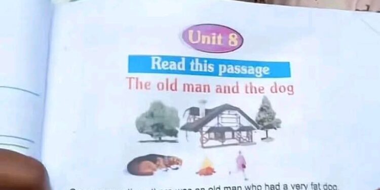 Outrage Trails Use of Error-Ridden Text in Schools as Educator Raises Alarm