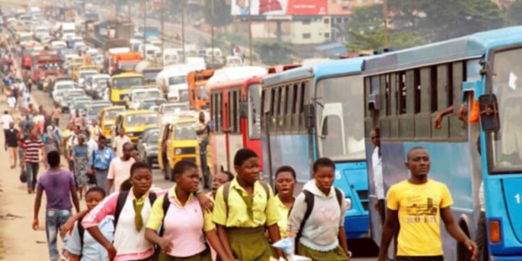 Parents in Lagos Increasingly Turn to Private Schools Over Public Education, Report Finds