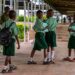 Stakeholders Call for Stronger School Protection Amid Rising Attacks