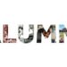 Can Alumni Save Nigerian Universities?
