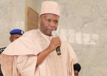 Poverty, Unemployment, Out-of-School Children Driving Insecurity in Northern Nigeria — Gombe Governor