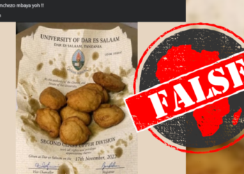 Fact Check: In Tanzania Viral Image Does Not Show University of Dar es Salaam Degree Certificate Used to Wrap Snacks