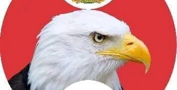 5 Simple Steps on How to Report Fraud to the EFCC Without Leaving Your Home