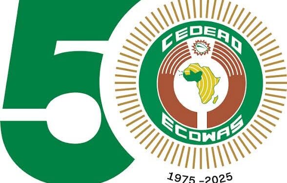 Apply to the ECOWAS YOUTH ENTREPRENEURSHIP PROGRAMME (EYEP)