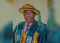 Why the Nigerian Economic Society Still Matters, According to Emmanuel Alayande VC