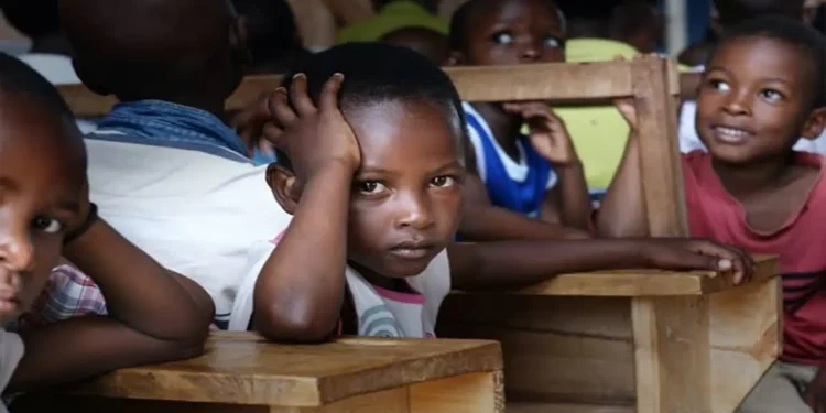 Expert Urges African Governments to Prioritise Early Childhood Education