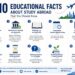 10 Educational Facts About Study Abroad That You Should Know