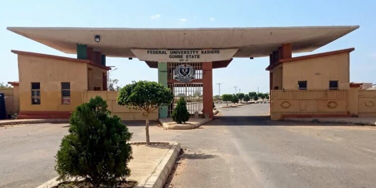 ASUU Begins Action at Federal University Kashere: Key Things to Know