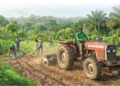 How Northern Youths Abandoned Okada Riding for Farming in Ogun