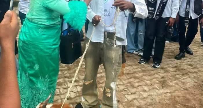 Nigerian Mother Explains Why She Gifted Son a ₦120,000 Goat at Graduation