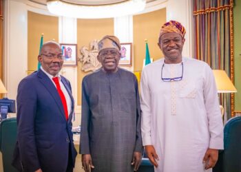 Tinubu, Jim Ovia Review NELFUND Progress, Sustainability at State House