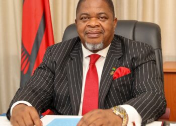 Malawi: Msaka to take lead at Global Smart Education Conference in China