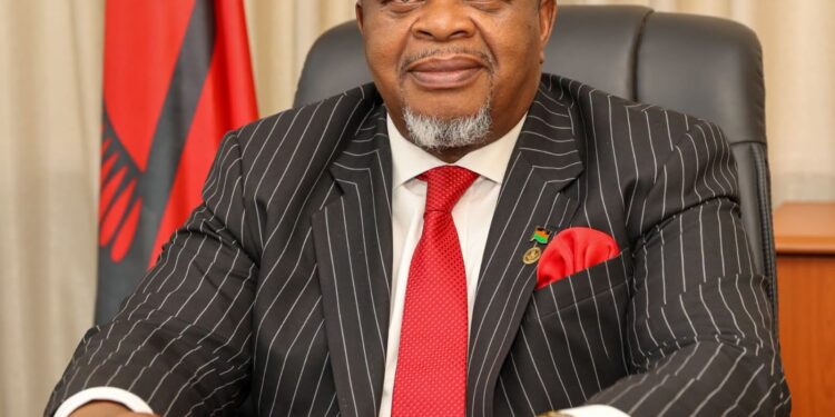 Malawi: Msaka to take lead at Global Smart Education Conference in China