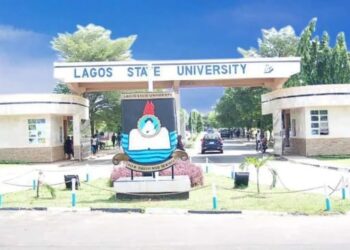 LASU, Immigration Service Seek Stronger Research, Security Cooperation on African Borders