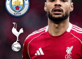Tottenham and Manchester City Enter Race for Cody Gakpo as Liverpool Transfer Stance Emerges