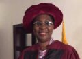Ex-LASU VC Says Public Universities Need New Funding Model