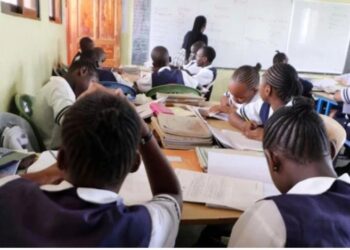 Kenya Opens Grade 9 School Selection as 1.2 Million Learners Prepare for Senior School