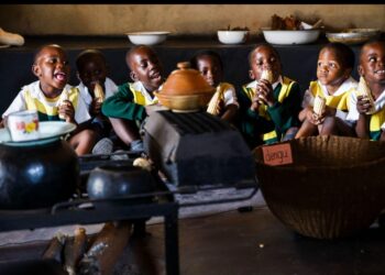 Chad Completes Review of Primary School Curricula in Major Education Reform