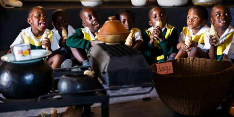 Chad Completes Review of Primary School Curricula in Major Education Reform